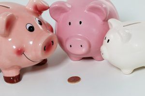 Top Five Tips for budgeting in a DPP article