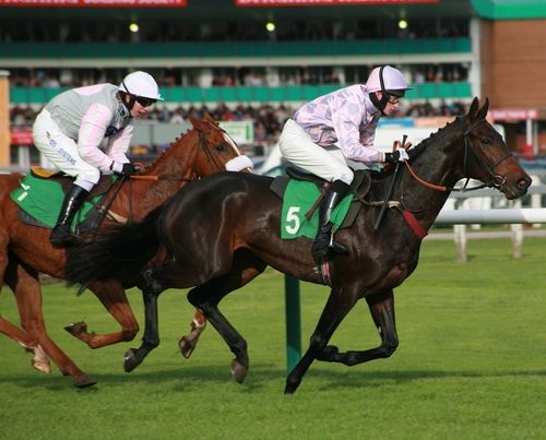 Grand National: Don’t get saddled with gambling debt article
