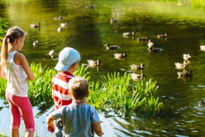5 tips to keep the kids busy during the summer holidays article